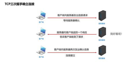深入理解網絡通信三要素 IP、端口、協議及其在信息安全軟件開發中的關鍵作用